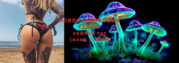 индика Алзамай