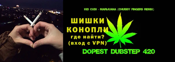 молекула духа Алексин