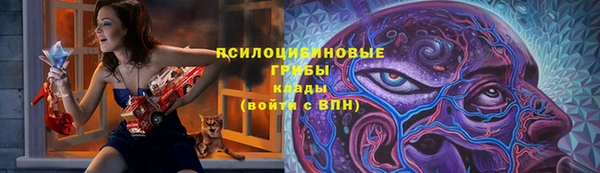 индика Алзамай